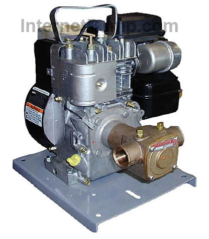 Oberdorfer Pump # 405MG-03-UGY