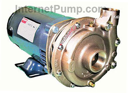 Oberdorfer Pump # 700B