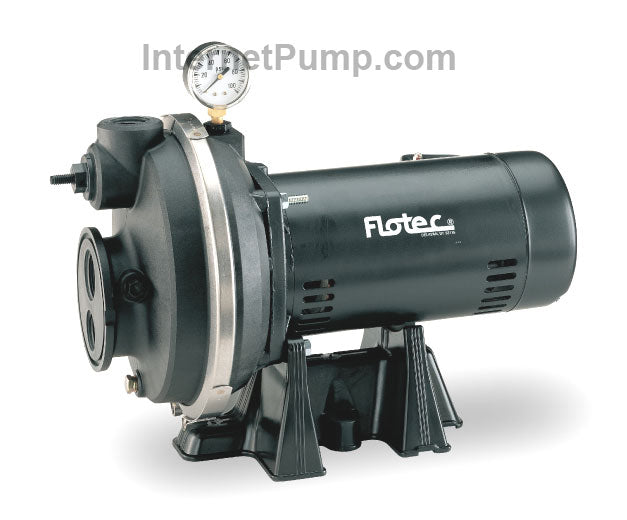 Flotec Pump # FP4312