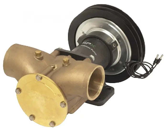 Johnson Pump # 10-13027-28