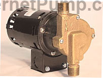 March Pump # 809 BR HS 230V