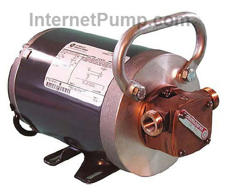 Oberdorfer Pump # N211M