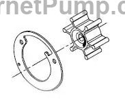 Shurflo part # 94-571-00