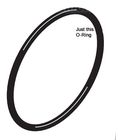 Sta-Rite part # U9-390