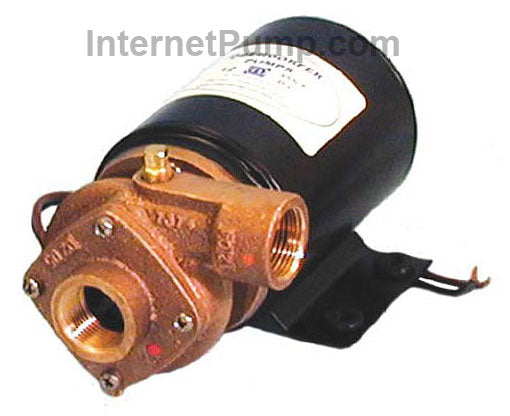 Oberdorfer Pump # 170M-A81