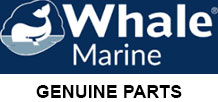 Whale # BP9021